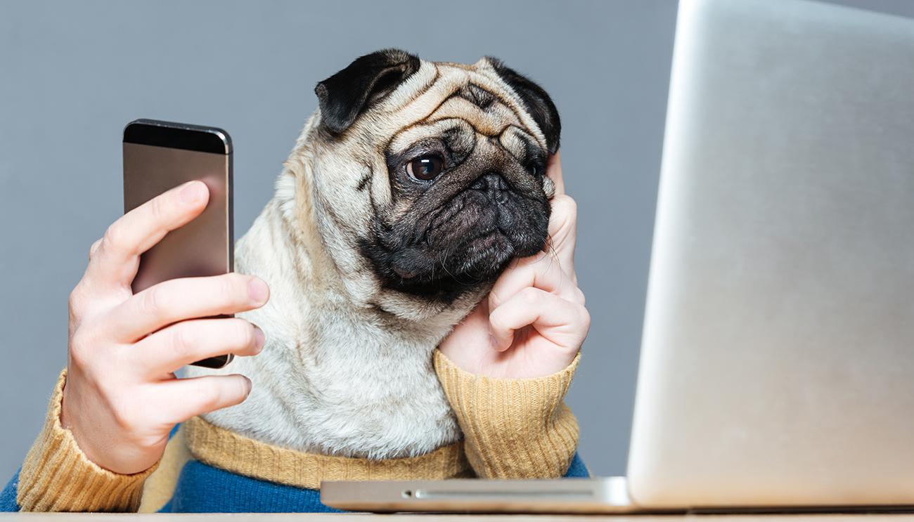 Journalist Pet Peeves in 2021 – Similar to the Past, but Amplified